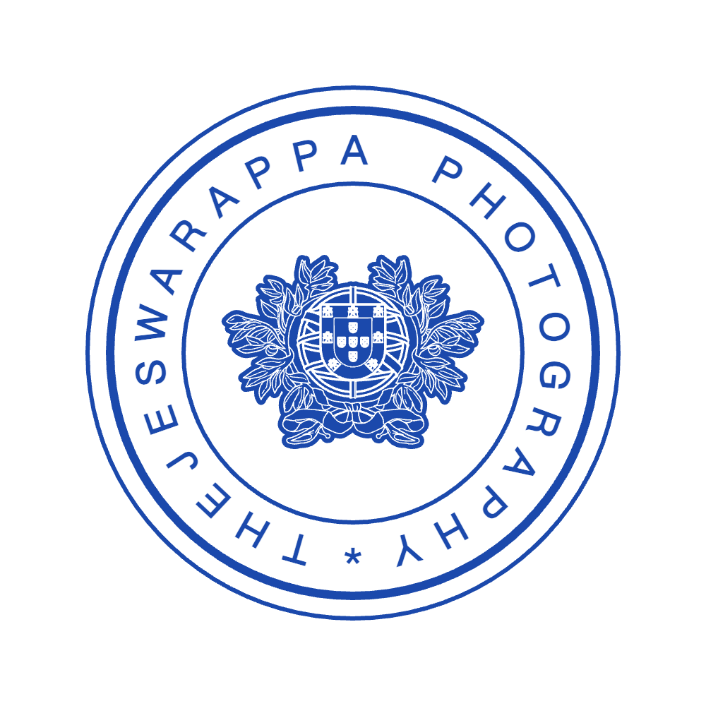 stamp_1756627750756 - Government Seal Template